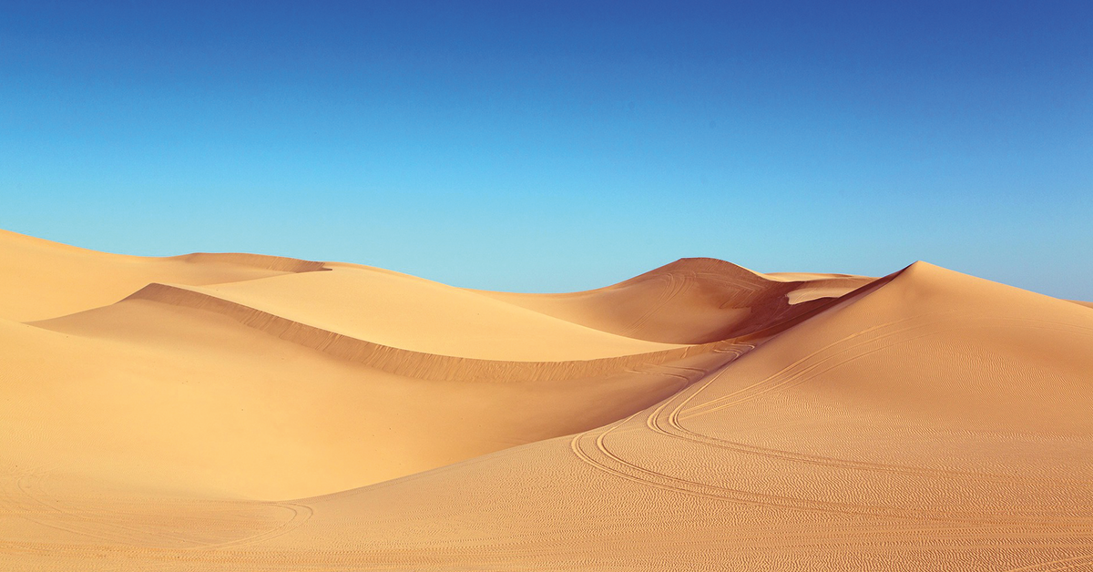 Heute schon Sand in den Kopf gesteckt?
